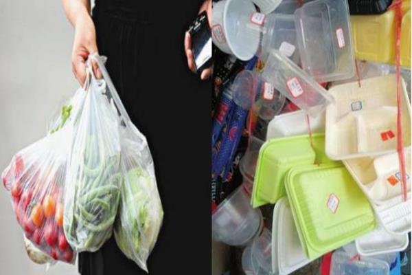 Biodegradable bags